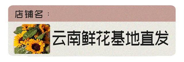 壹葡ONEBETS娛樂城：拼多多買東西真的會上癮吧？