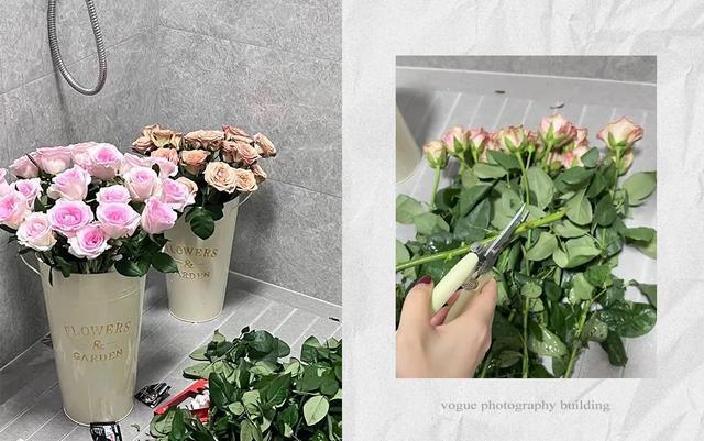 壹葡ONEBETS娛樂城：拼多多買東西真的會上癮吧？