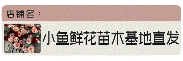 壹葡ONEBETS娛樂城：拼多多買東西真的會上癮吧？