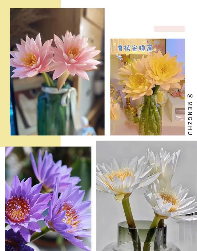 壹葡ONEBETS娛樂城：拼多多買東西真的會上癮吧？