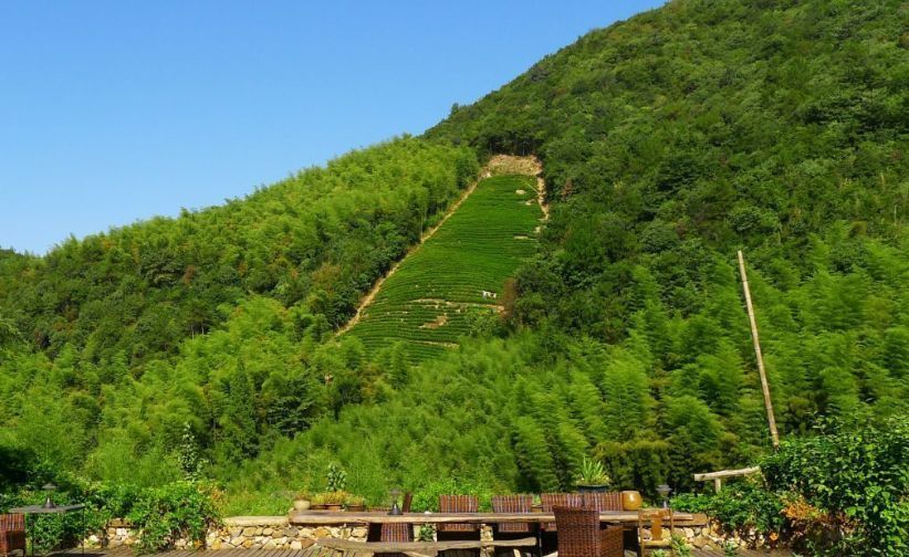 {Online Casino}(上海周边旅游必去景点推荐)